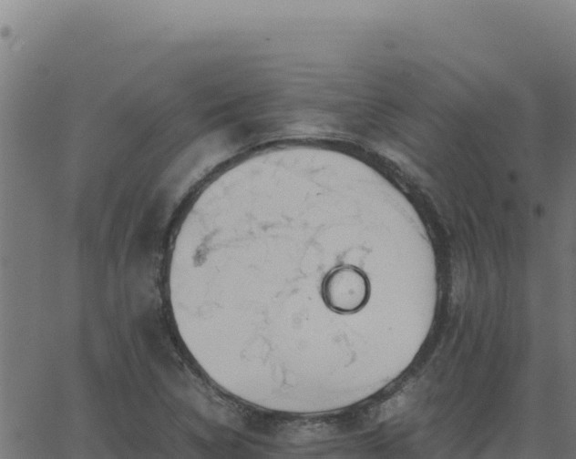 X0000062851314200601201653