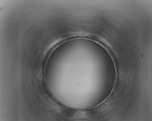 X0000062851315200601201653