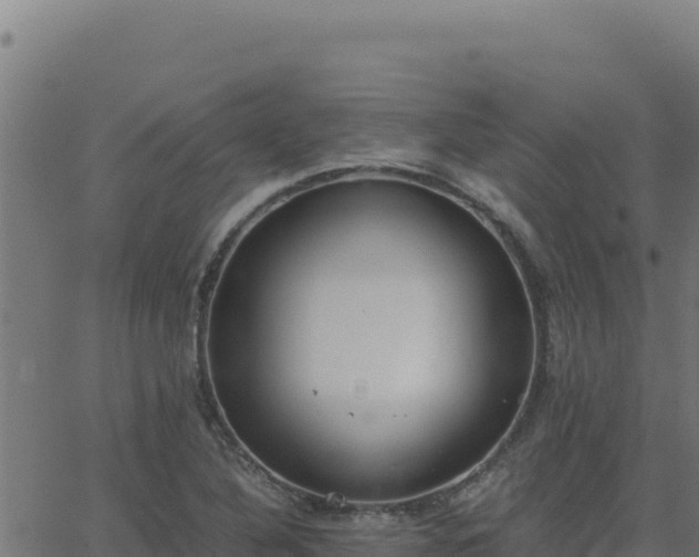 X0000062851316200601201653