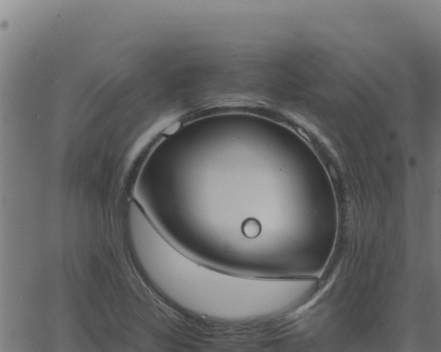 X0000062851317200601201653