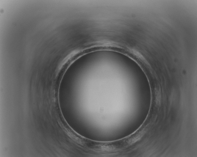 X0000062851318200601201653