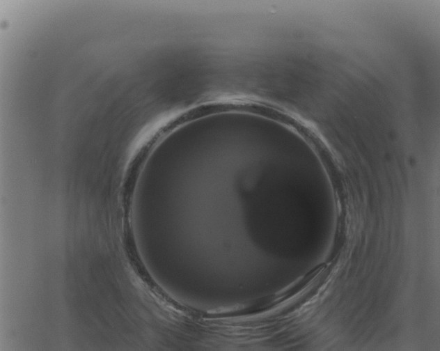 X0000062851319200601201653