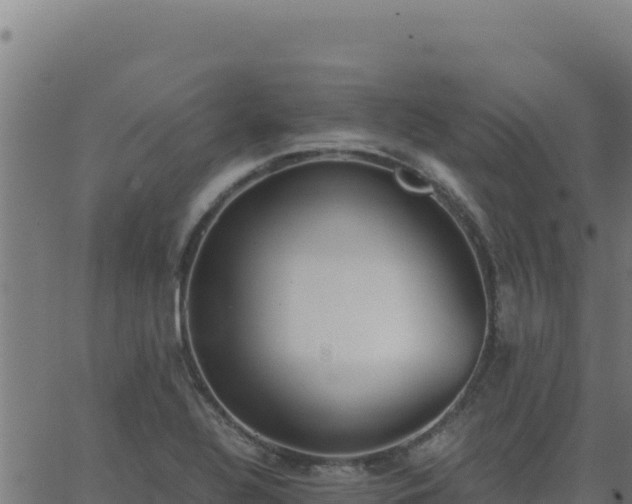 X0000062851320200601201653