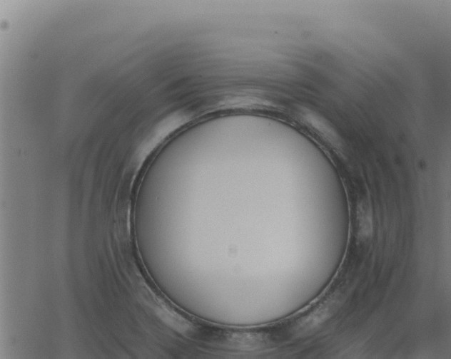 X0000062851322200601201653