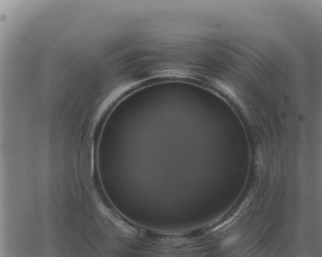 X0000062851323200601201653