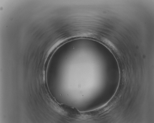 X0000062851324200601201653