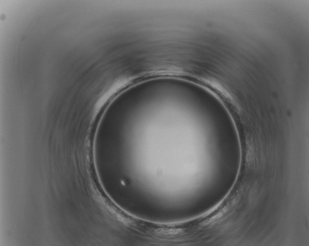 X0000062851325200601201653