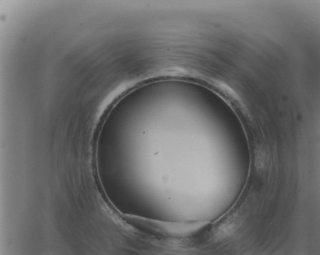 X0000062851326200601201653