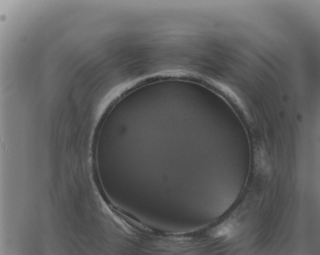 X0000062851327200601201653