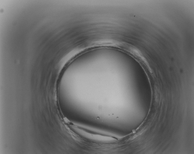 X0000062851328200601201653