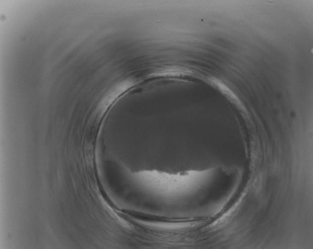 X0000062851329200601201653