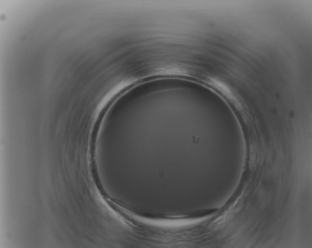 X0000062851331200601201653