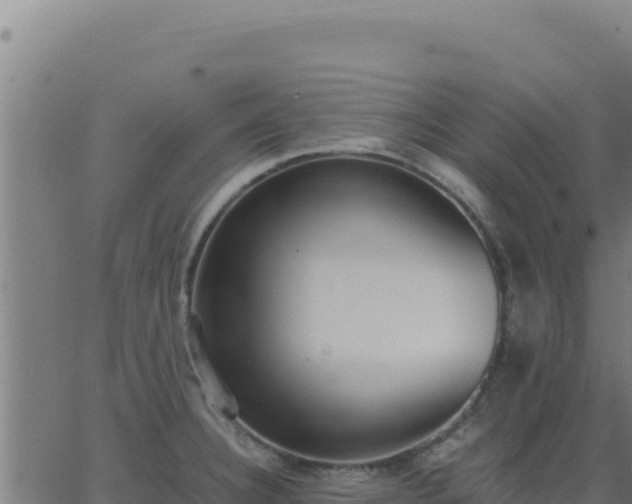 X0000062851332200601201653