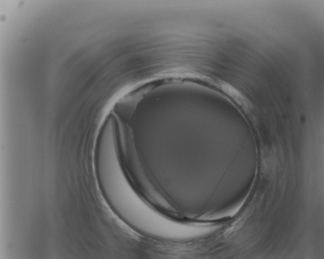 X0000062851334200601201653