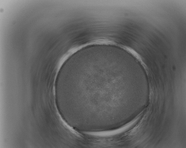 X0000062851335200601201653