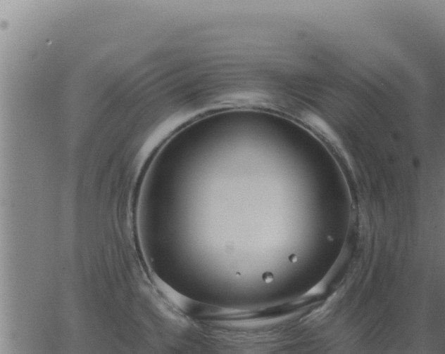 X0000062851336200601201653