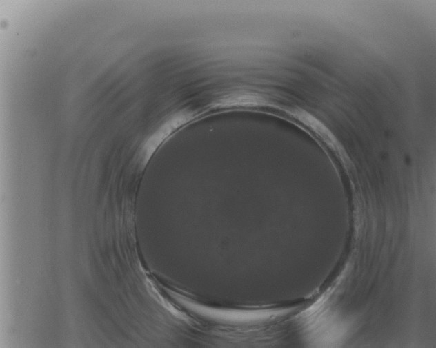 X0000062851337200601201653