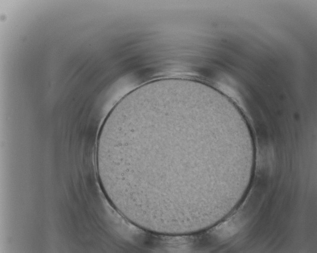 X0000062851338200601201653