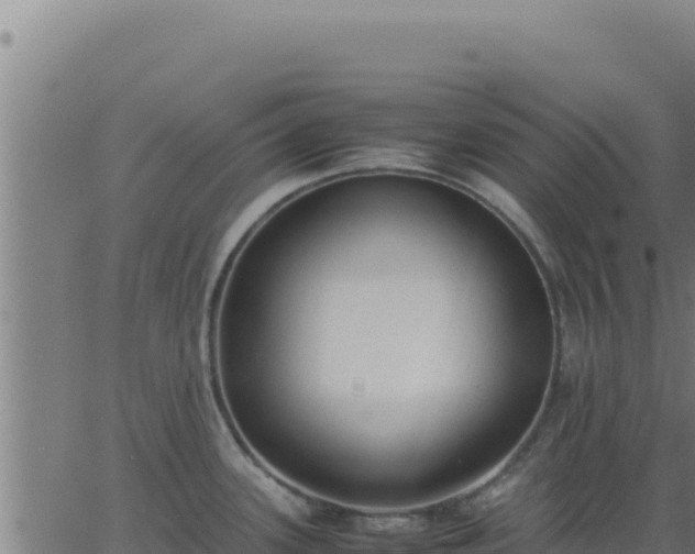 X0000062851339200601201654