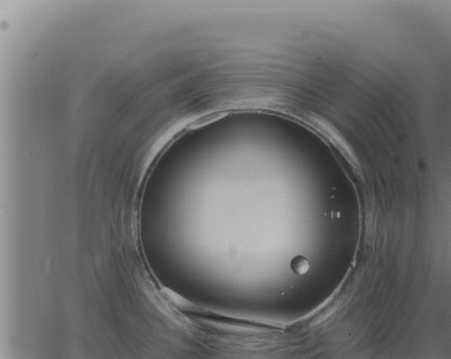 X0000062851340200601201654