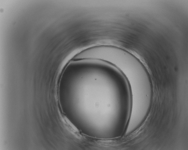 X0000062851342200601201654