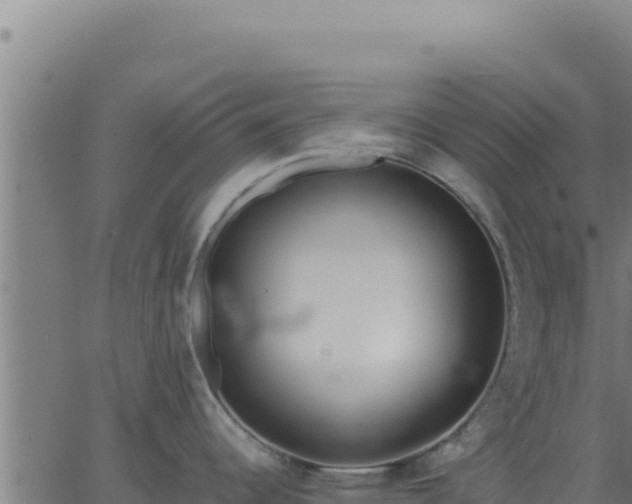 X0000062851344200601201654