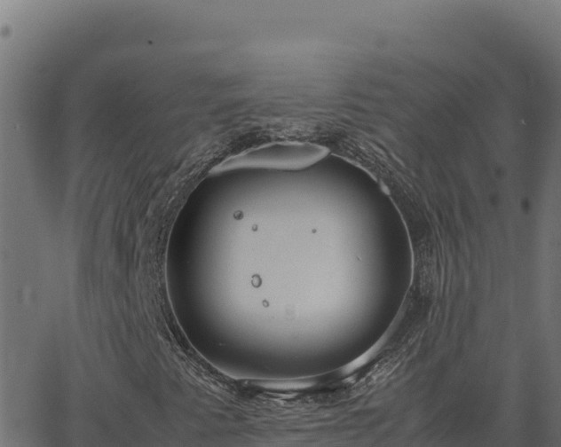 X0000062851345200601201653