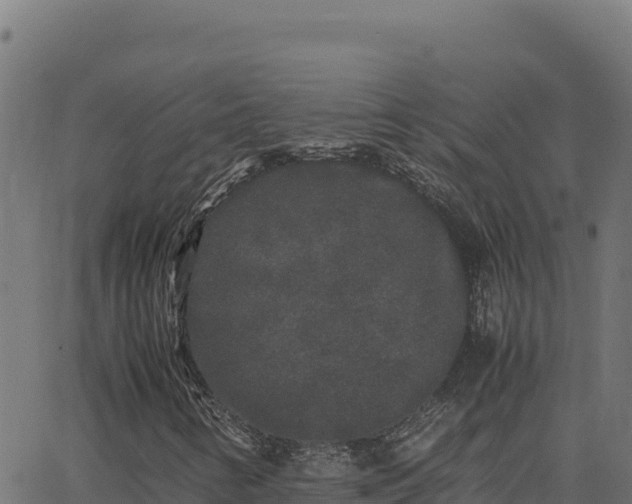 X0000062851346200601201653