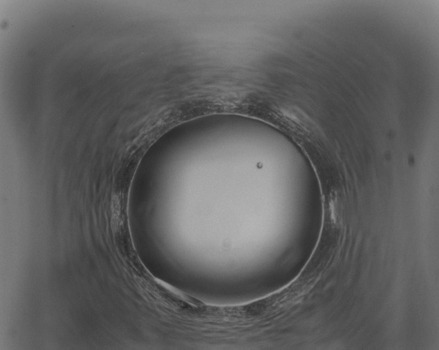 X0000062851347200601201653