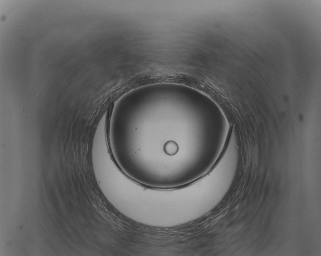 X0000062851348200601201653