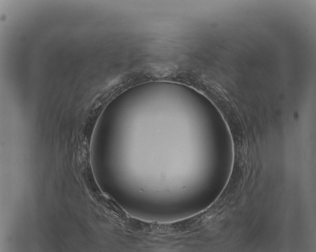 X0000062851349200601201653