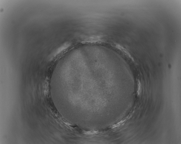 X0000062851350200601201653