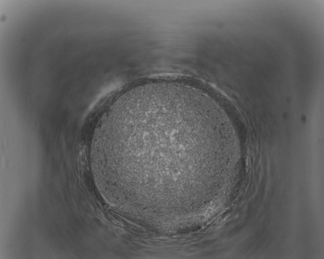 X0000062851351200601201653