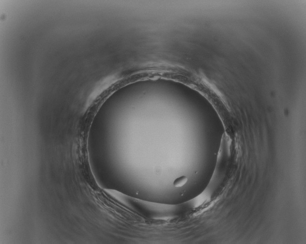 X0000062851352200601201653