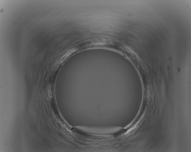 X0000062851353200601201653