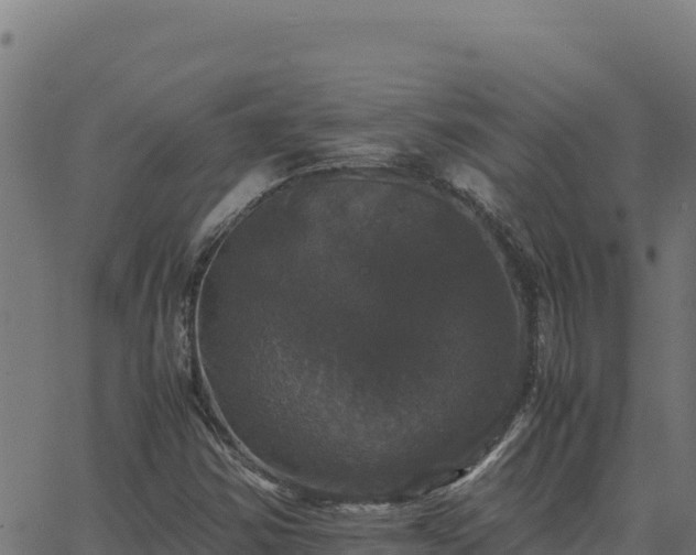 X0000062851354200601201653