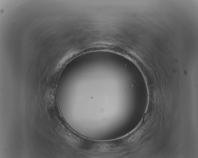 X0000062851355200601201653