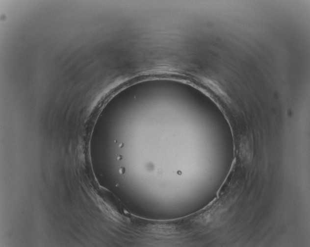 X0000062851356200601201653