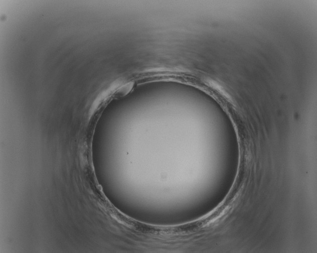 X0000062851357200601201653