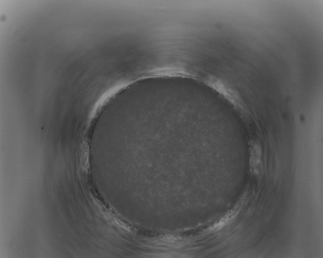 X0000062851358200601201653