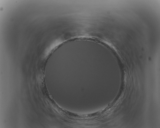 X0000062851359200601201653