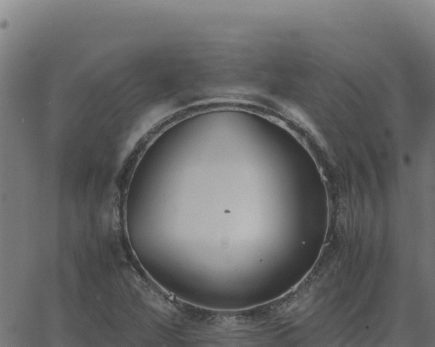 X0000062851360200601201653