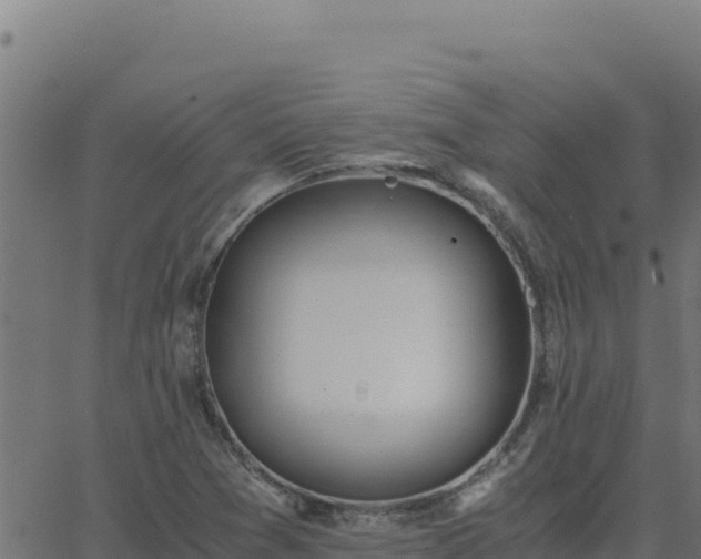 X0000062851361200601201653