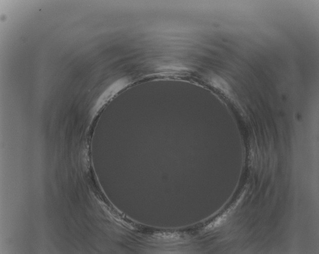 X0000062851362200601201653