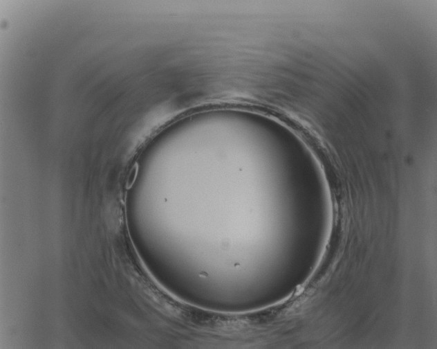 X0000062851363200601201653