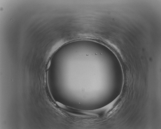 X0000062851365200601201652