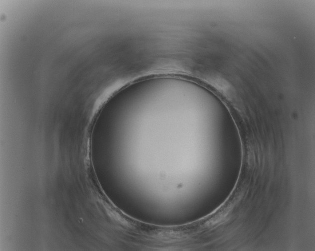 X0000062851366200601201652