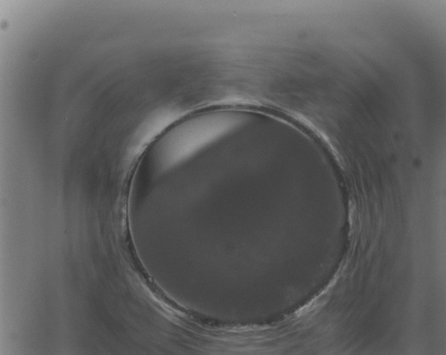 X0000062851367200601201652