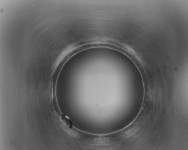 X0000062851368200601201652