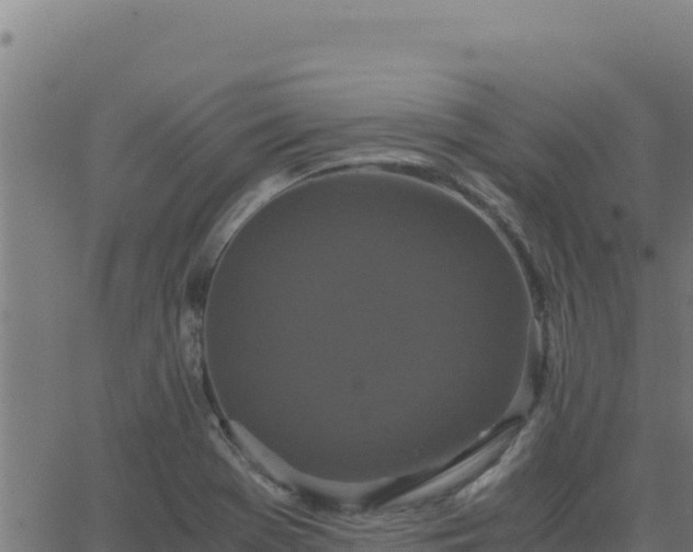 X0000062851369200601201652